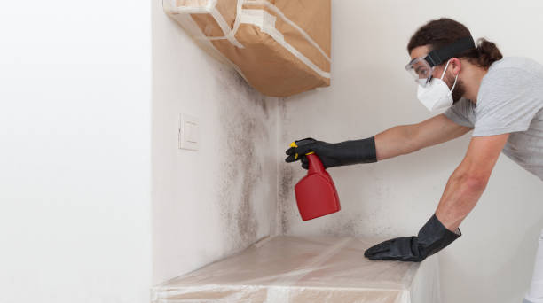 Professional Mold Remediation technician working in Akron, NY