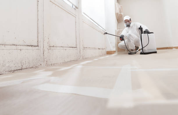 24/7 Emergency Mold Remediation experts in Akron, NY