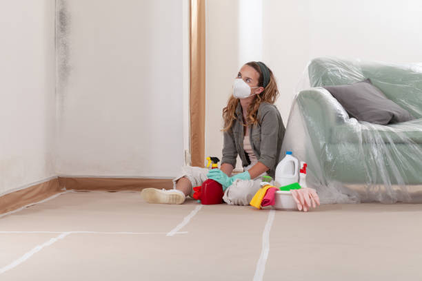 Reliable Mold Remediation contractor in Akron, NY by WQB Mold Removal